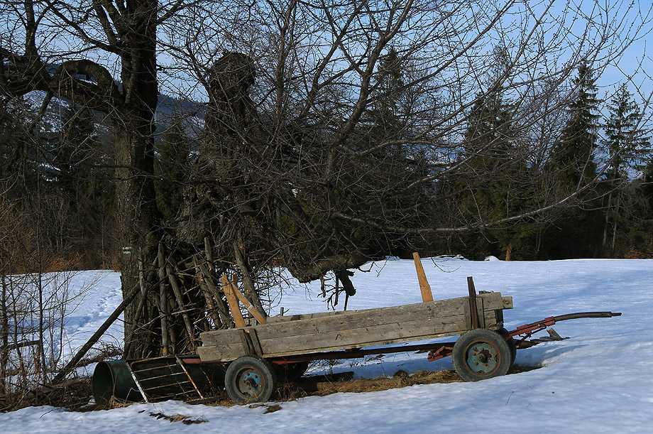 Na Hali Boraczej (Beskid Żywiecki)